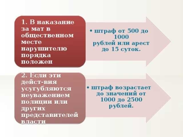 Мат в общественном месте статья